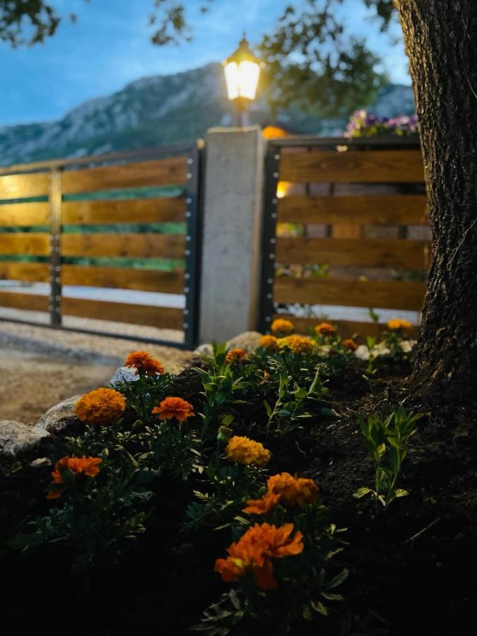 Guest House Mare บาร์ ภายนอก รูปภาพ